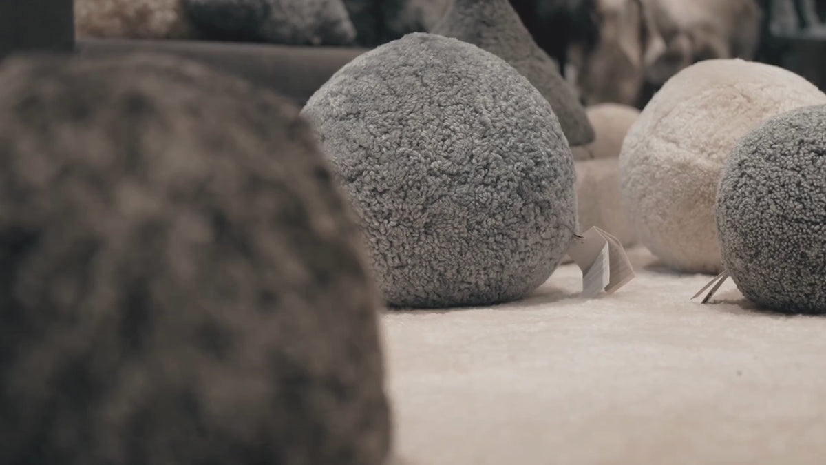 Carica video: 