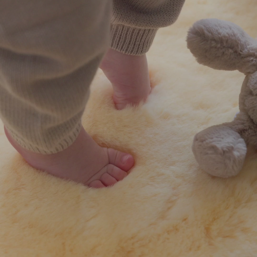 Carica video: 